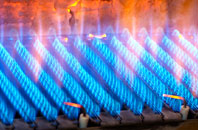 Monkerton gas fired boilers